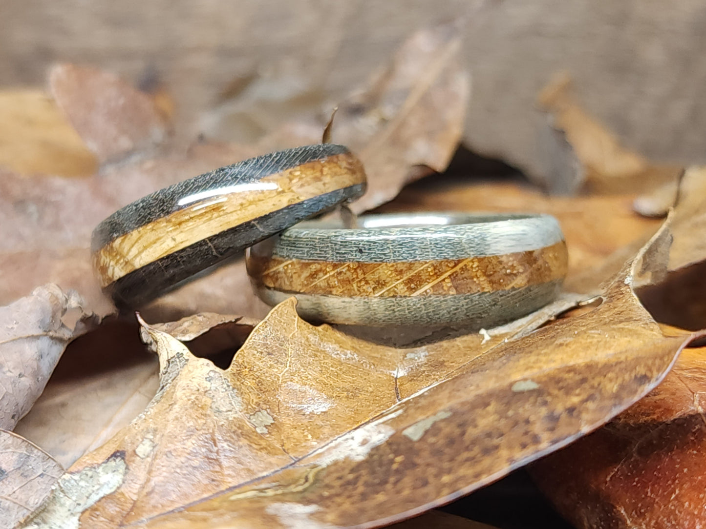 Black & Oak Ring